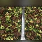 Best Beef with Broccoli in Danbury, CT